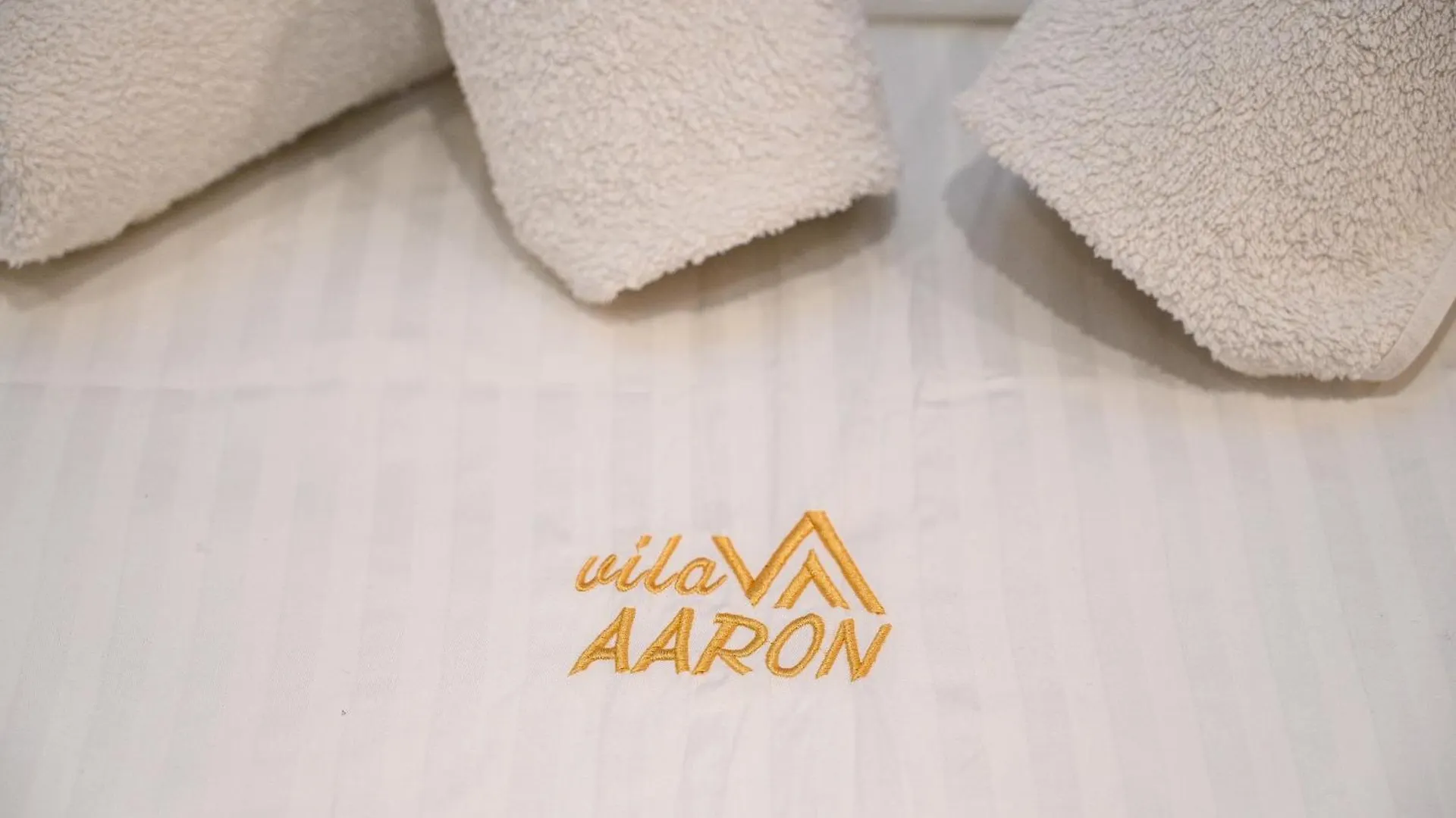 Hotel Vila Aaron Durres