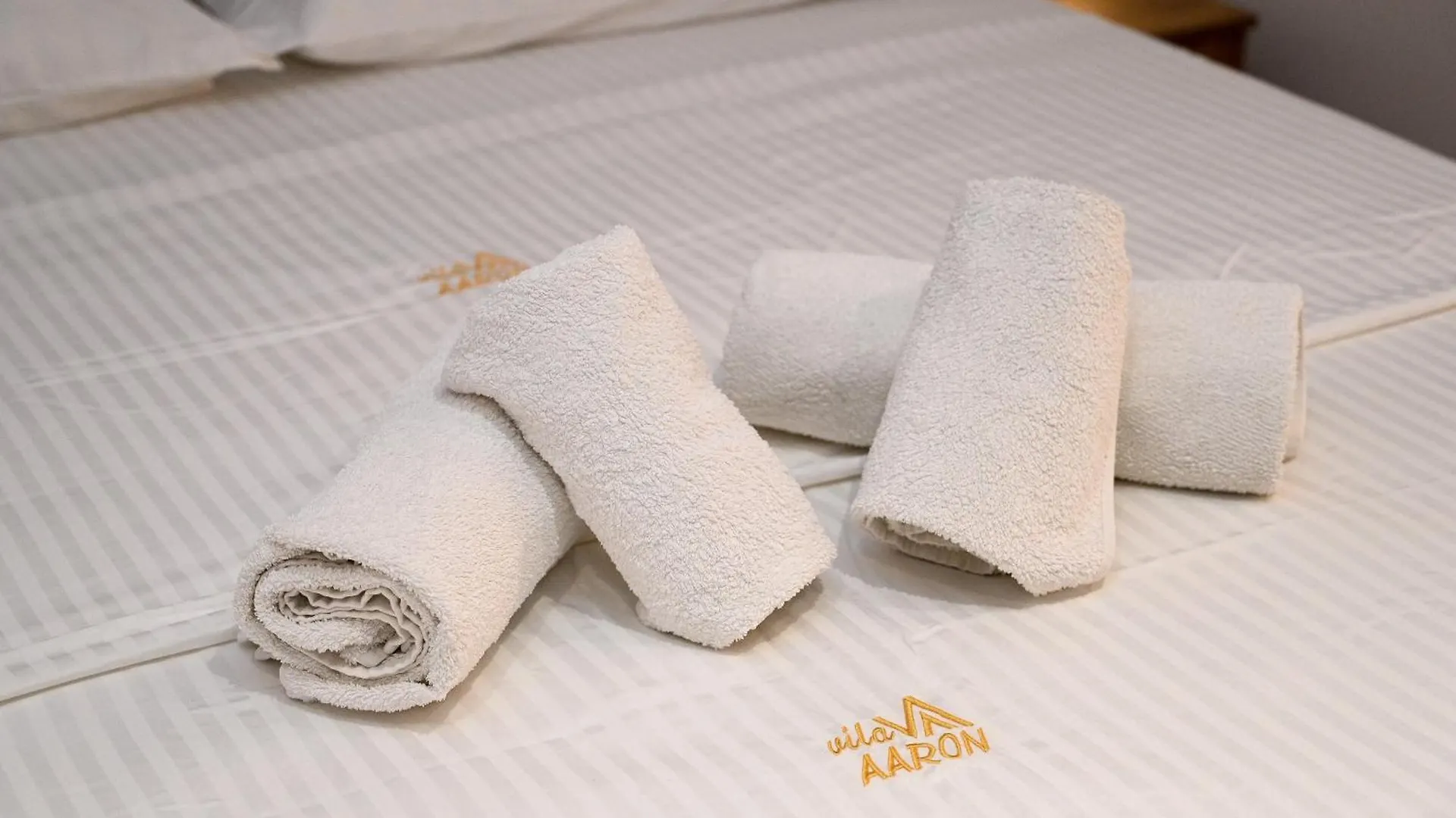 Hotel Vila Aaron Durres