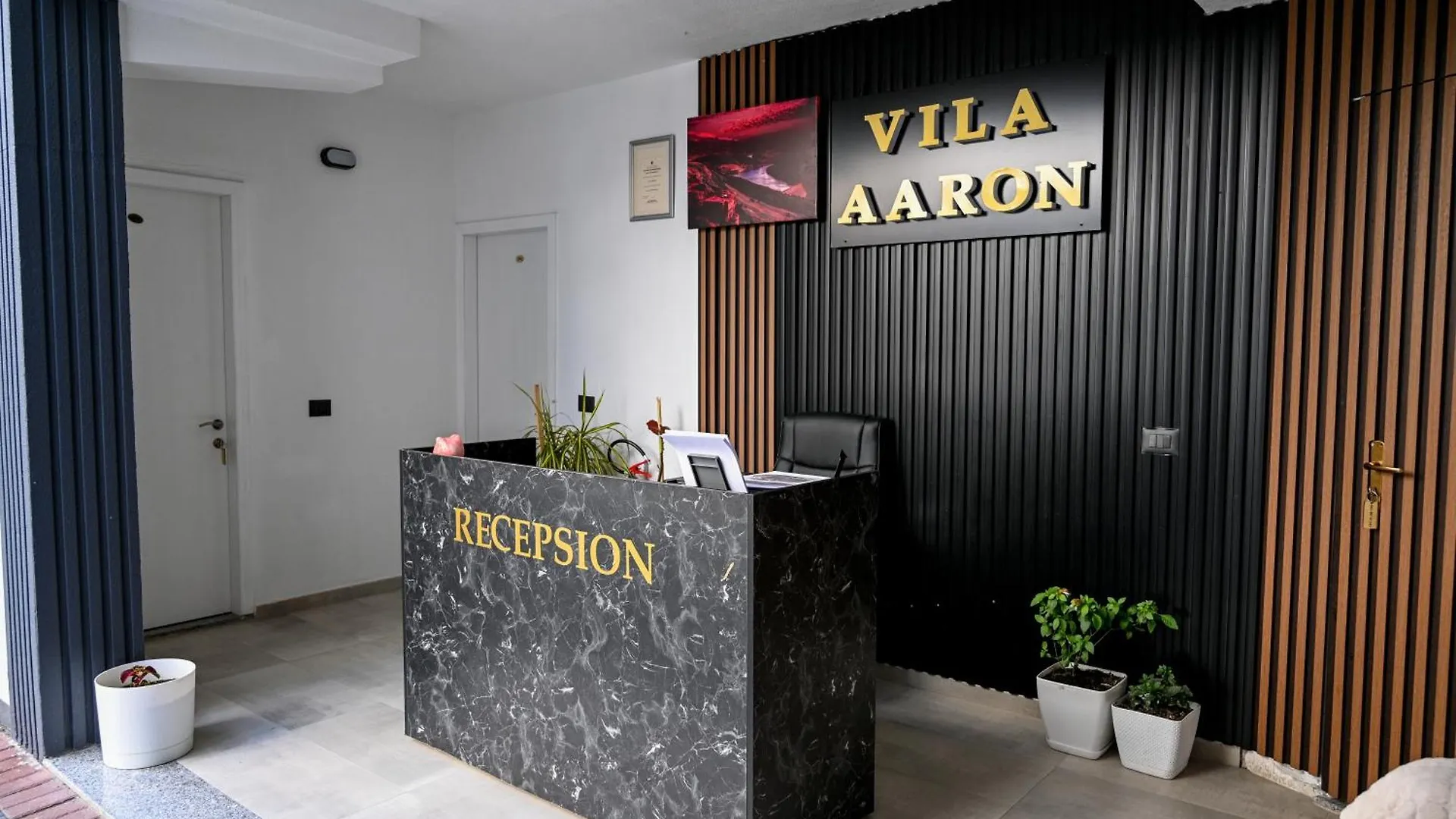 Hotel Vila Aaron Durres 0*,