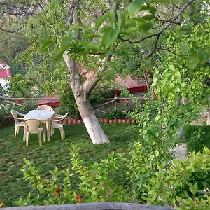  Tatil Evi Roleo